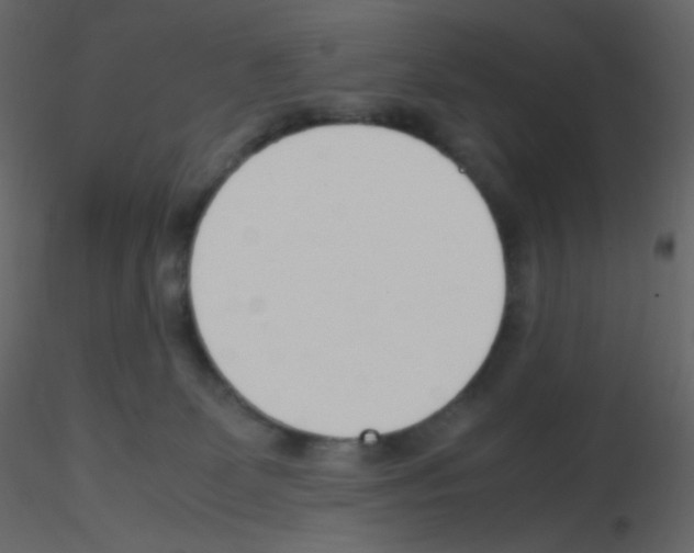 X0000115760131200912241737