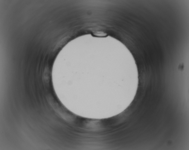X0000115760132200912241737