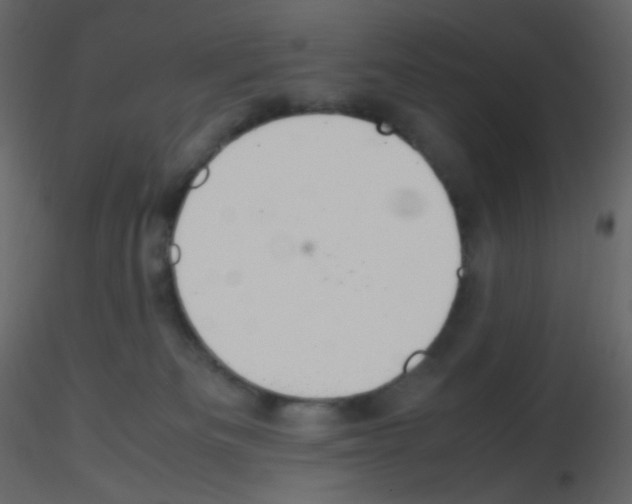 X0000115760133200912241737