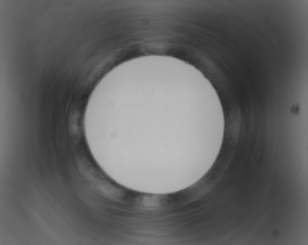 X0000115760134200912241737