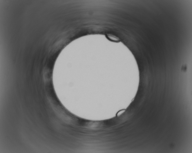 X0000115760135200912241737