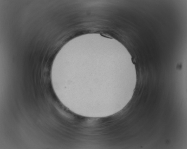 X0000115760136200912241737