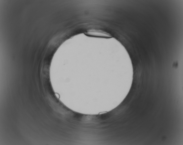 X0000115760137200912241737
