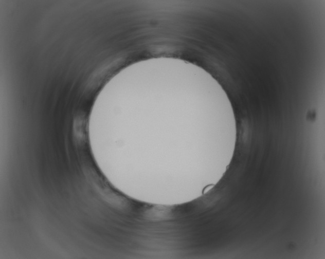 X0000115760138200912241737