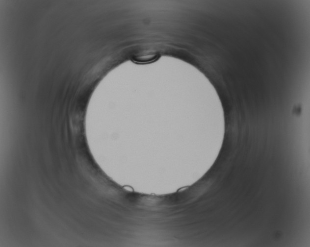 X0000115760139200912241737