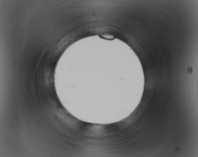 X0000115760140200912241737