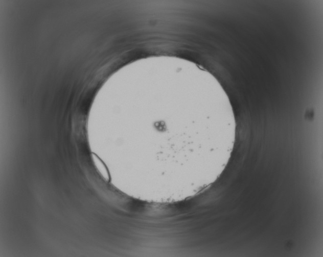 X0000115760141200912241737