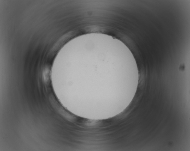 X0000115760142200912241737