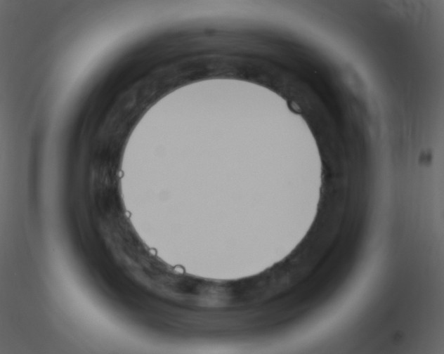 X0000115760143200912241737