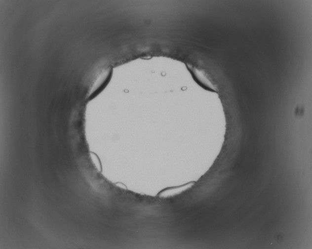 X0000115760144200912241737