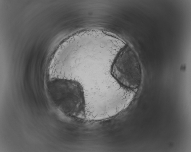 X0000115760145200912241736