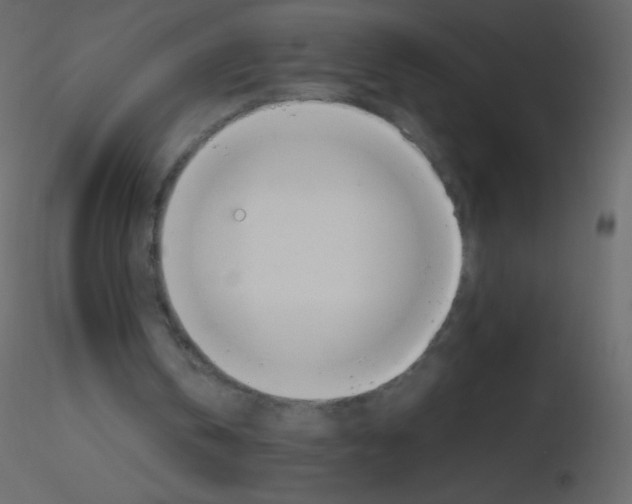 X0000115760146200912241736