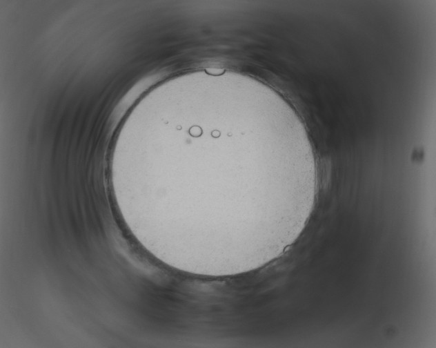 X0000115760147200912241736