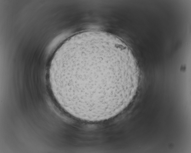 X0000115760149200912241736
