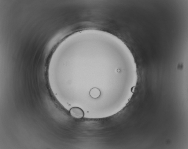 X0000115760150200912241736