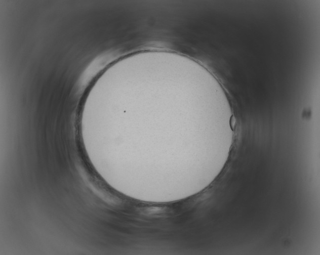 X0000115760151200912241736