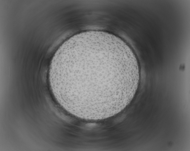 X0000115760153200912241736