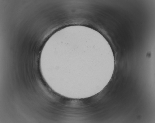 X0000115760154200912241736