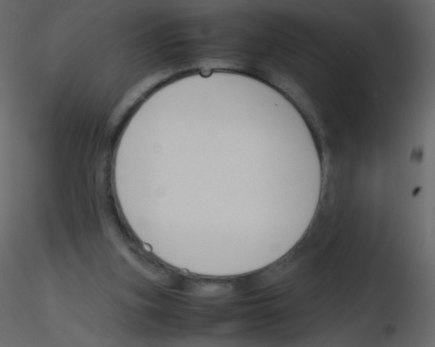 X0000115760155200912241736