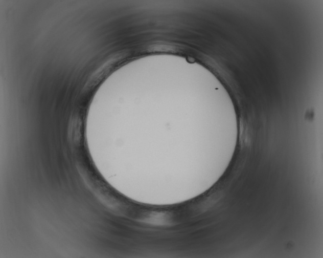 X0000115760157200912241736