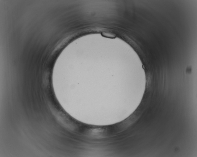 X0000115760158200912241736