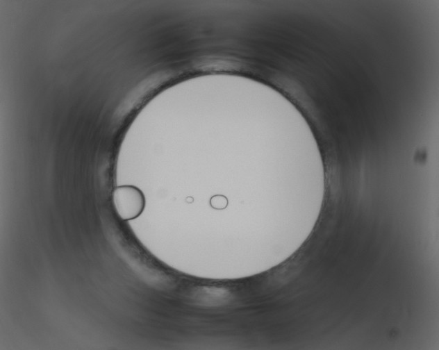 X0000115760159200912241736