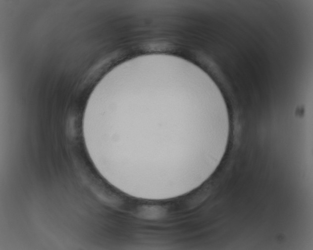X0000115760161200912241736