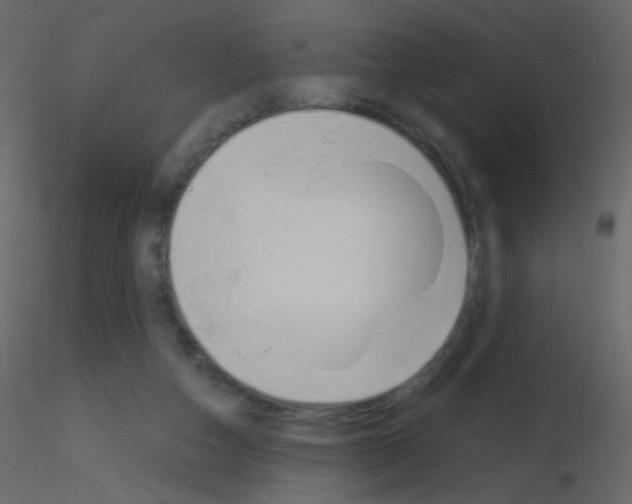 X0000115760162200912241736