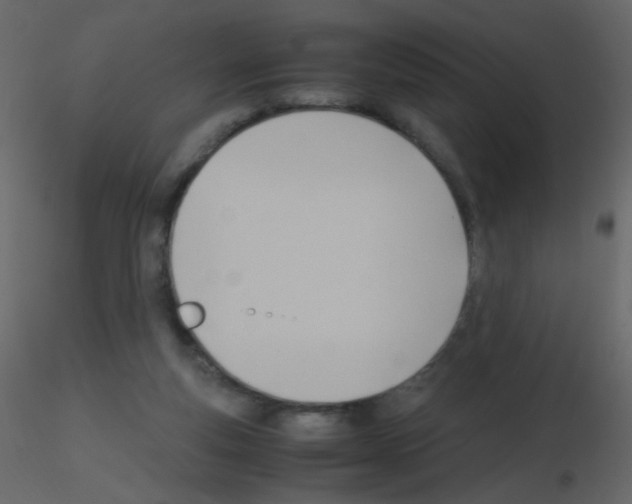 X0000115760163200912241736