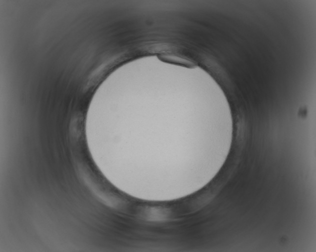 X0000115760165200912241736