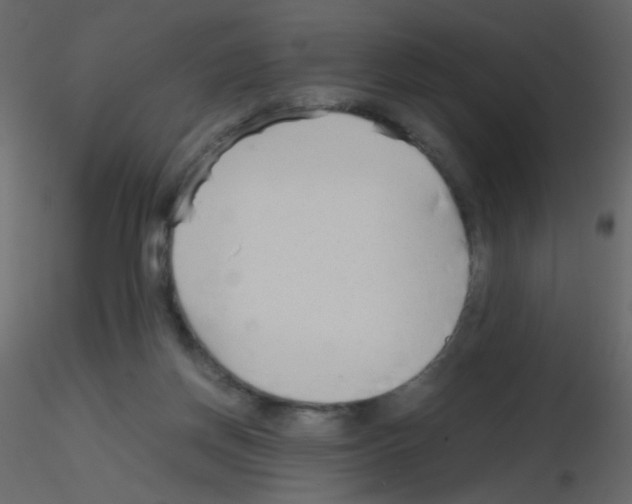 X0000115760166200912241736