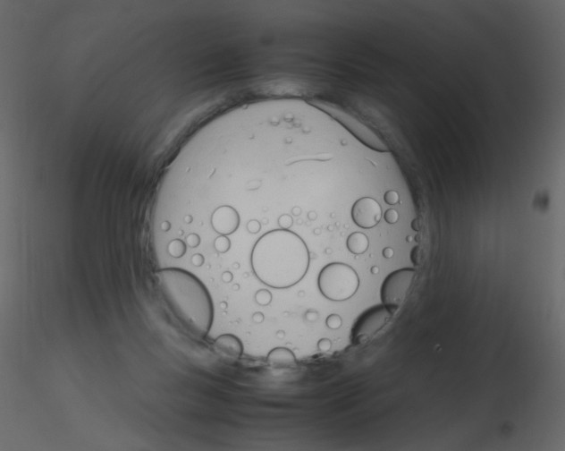 X0000115760167200912241736