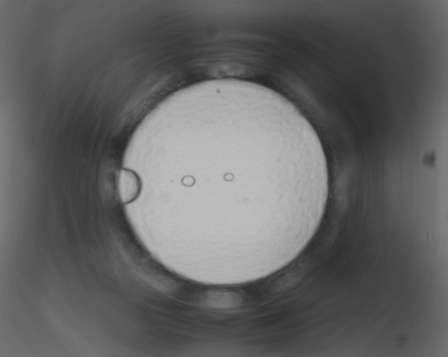 X0000115760169200912241736