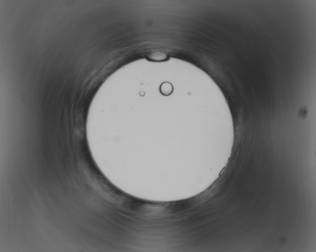 X0000115760170200912241736