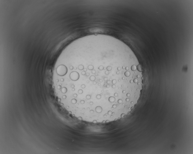 X0000115760171200912241736