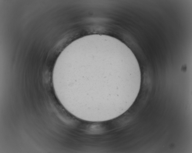 X0000115760173200912241736