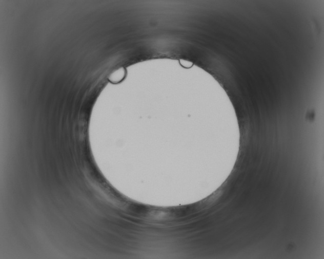 X0000115760174200912241736