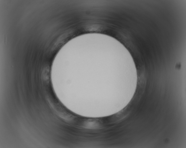 X0000115760175200912241736