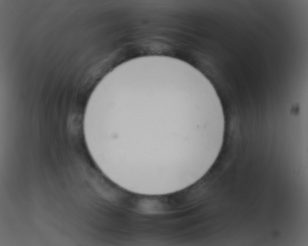 X0000115760177200912241736