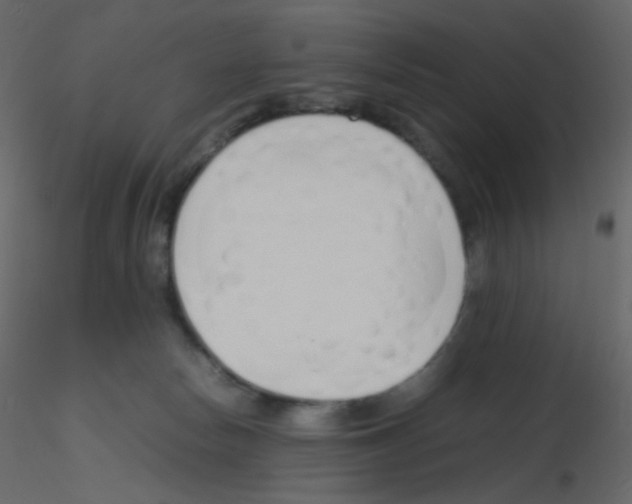 X0000115760178200912241736