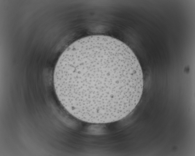 X0000115760179200912241736