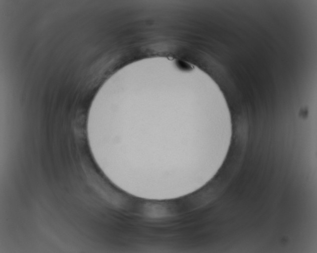 X0000115760181200912241736