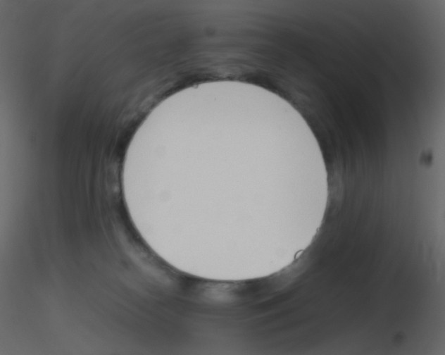 X0000115760182200912241736