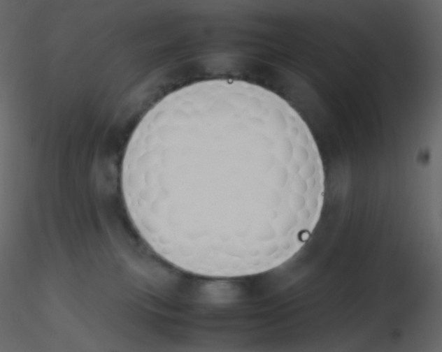 X0000115760183200912241736