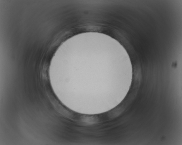 X0000115760185200912241736