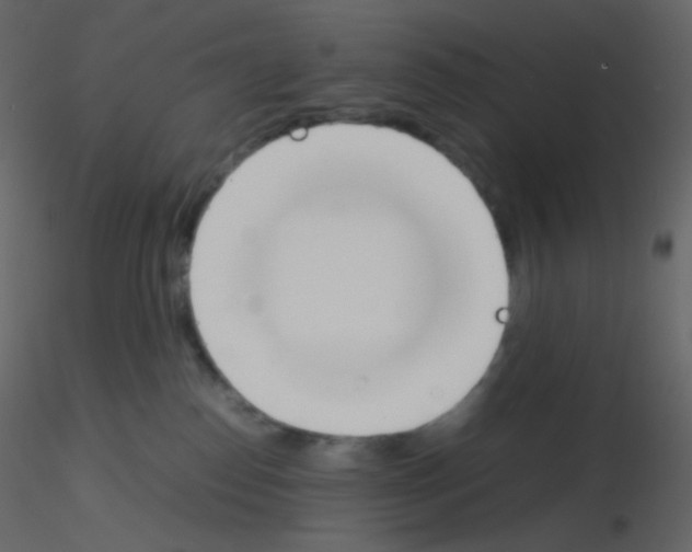 X0000115760186200912241736