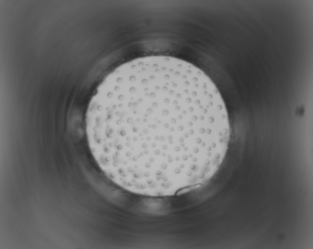 X0000115760187200912241736
