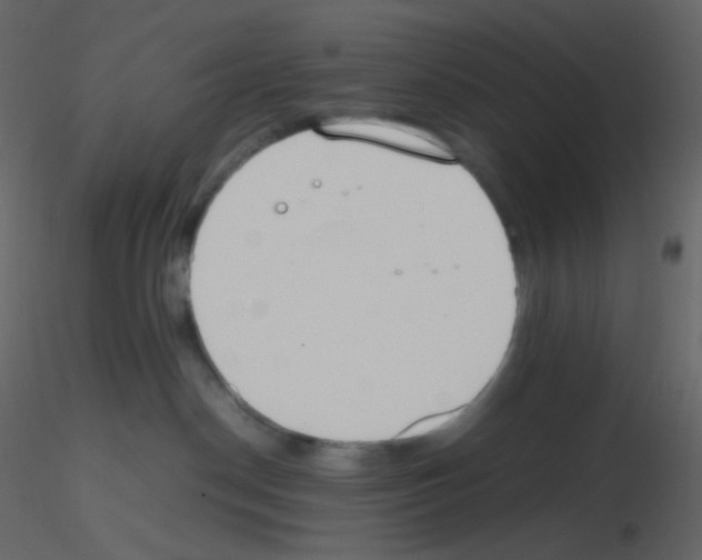 X0000115760190200912241737