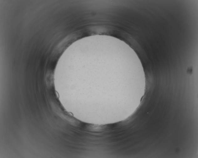 X0000115760191200912241737