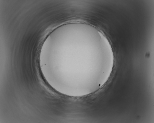 X0000115760193200912241736